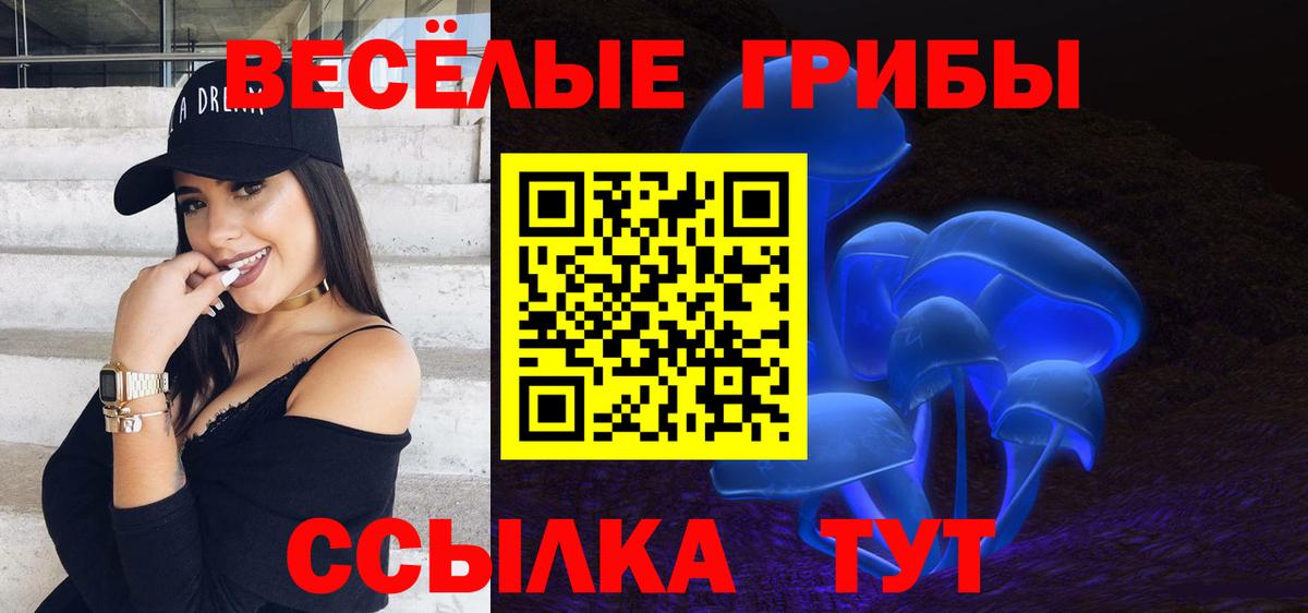 Галлюциногенные грибы Psilocybine cubensis Волхов